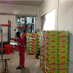 Rosex Gallery — warehouse crates